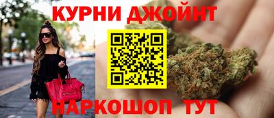 крисы Камышлов
