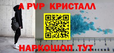 крисы Камышлов