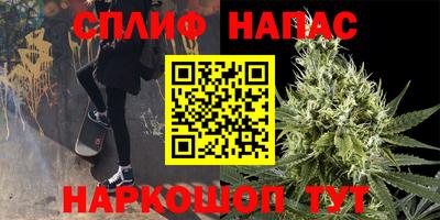крисы Камышлов
