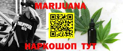 крисы Камышлов