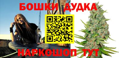 крисы Камышлов