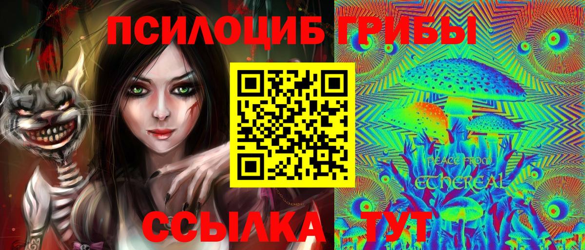 Галлюциногенные грибы мухоморы Геленджик