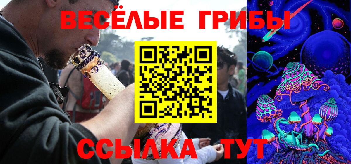 Геленджик  Псилоцибиновые грибы GOLDEN TEACHER  Вход с VPN 