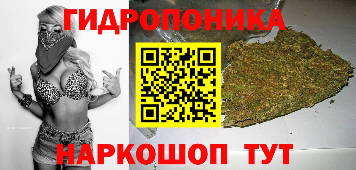 Конопля Bruce Banner Геленджик